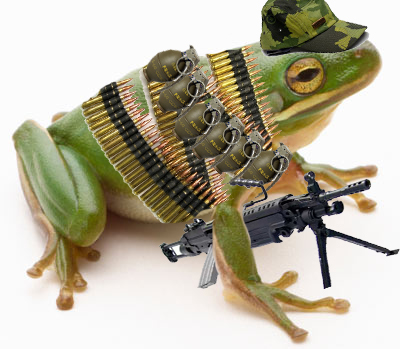 103707_fuzzy11_army-frog.jpg
