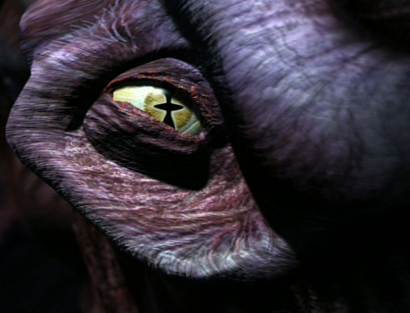 Species_8472_eye.jpg