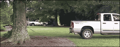 Truck-uproots-huge-tree-perspective-troll.gif