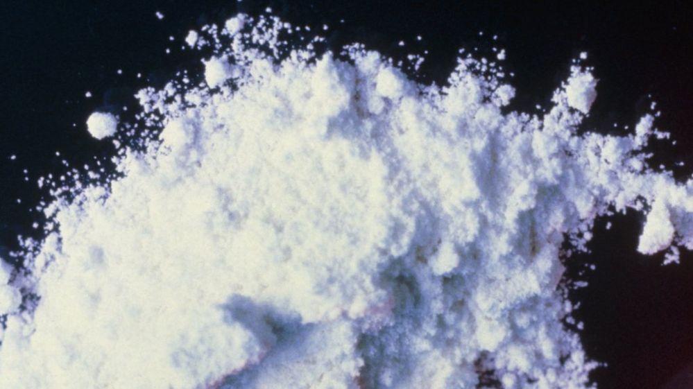 _79313321_spl_powder.jpg