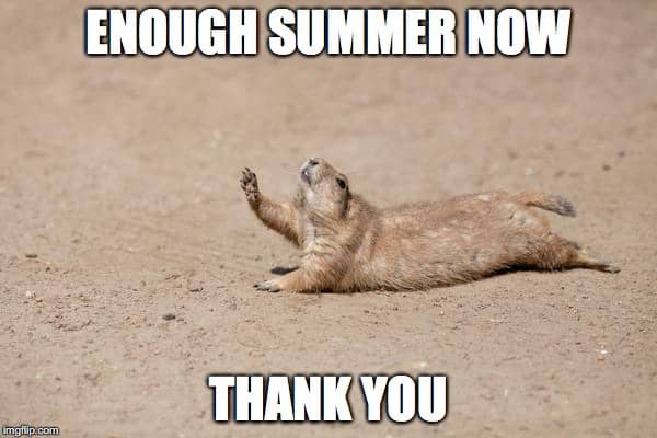 enough-summer-hot-weather-meme.jpg