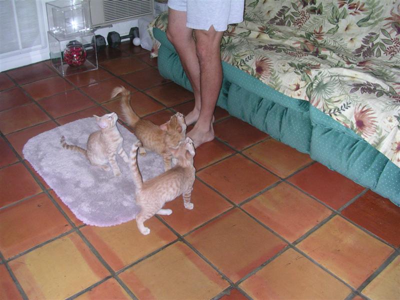 DSCN0318 (Medium).JPG