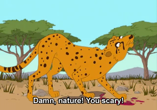 Damn-Nature-You-Scary.gif