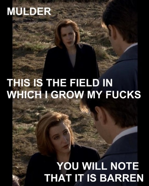 tumblr_m3zddgC5b11rt2r0xo1_500.jpg