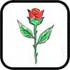 rose_icon.gif