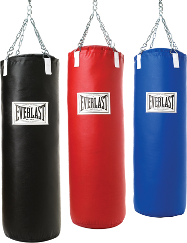 everlast+punching1.jpg