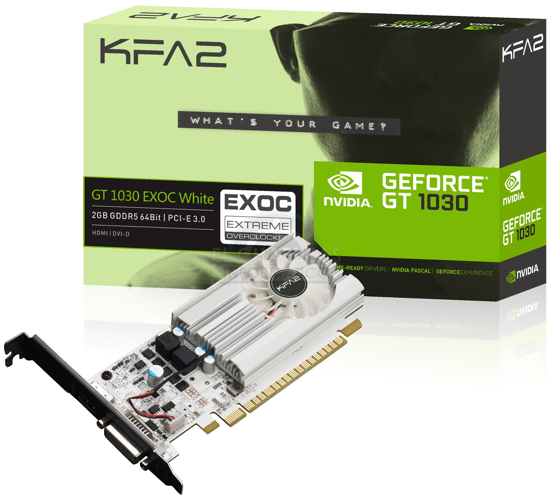 KFA2-GeForce-GT-1030-Graphics-Card.jpg