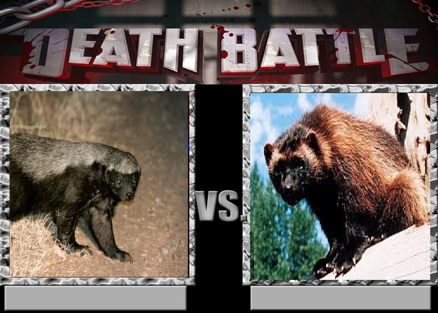 deathbattle163__honey_badger_vs_wolverine_by_morgrag-d5u2cdm.png