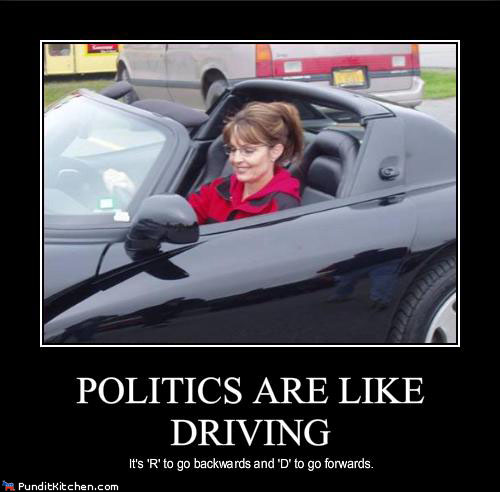 political-pictures-sarah-palin-politics.jpg