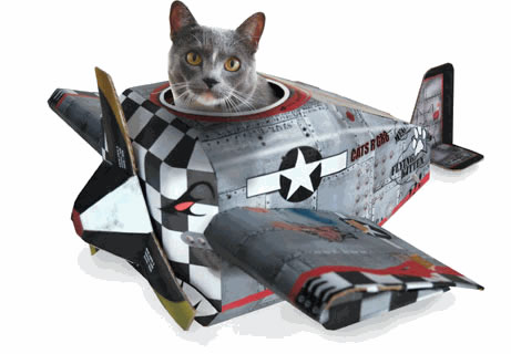 cat-plane-cardboard.jpg