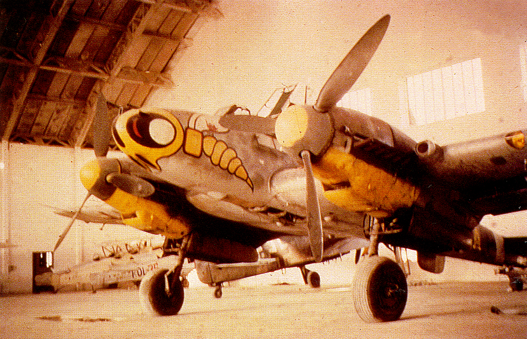 bf-110g-5-zg1-s9an-italy-1943-01.jpg