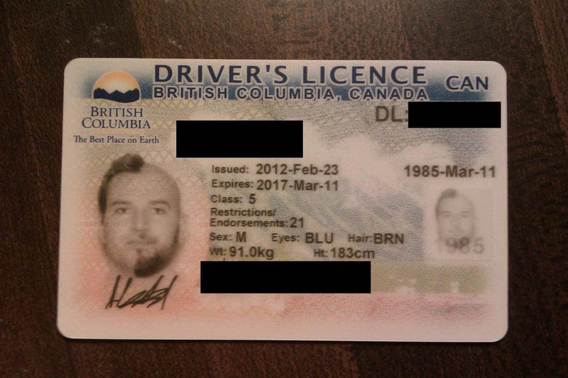 half-shaved-beard-head-drivers-license-two-face-9.jpg
