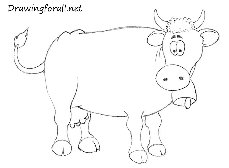 5-how-to-draw-a-cow-easy.jpg