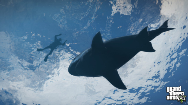 official-screenshot-shark-in-the-water.jpg