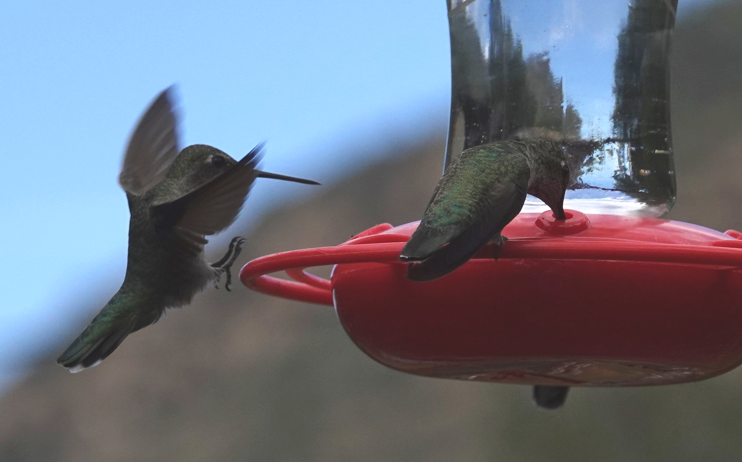 hummer_2018_09_30_a.jpg