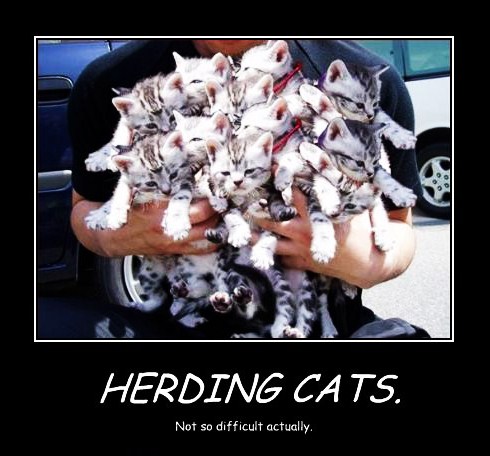 herdingcats-01.jpg