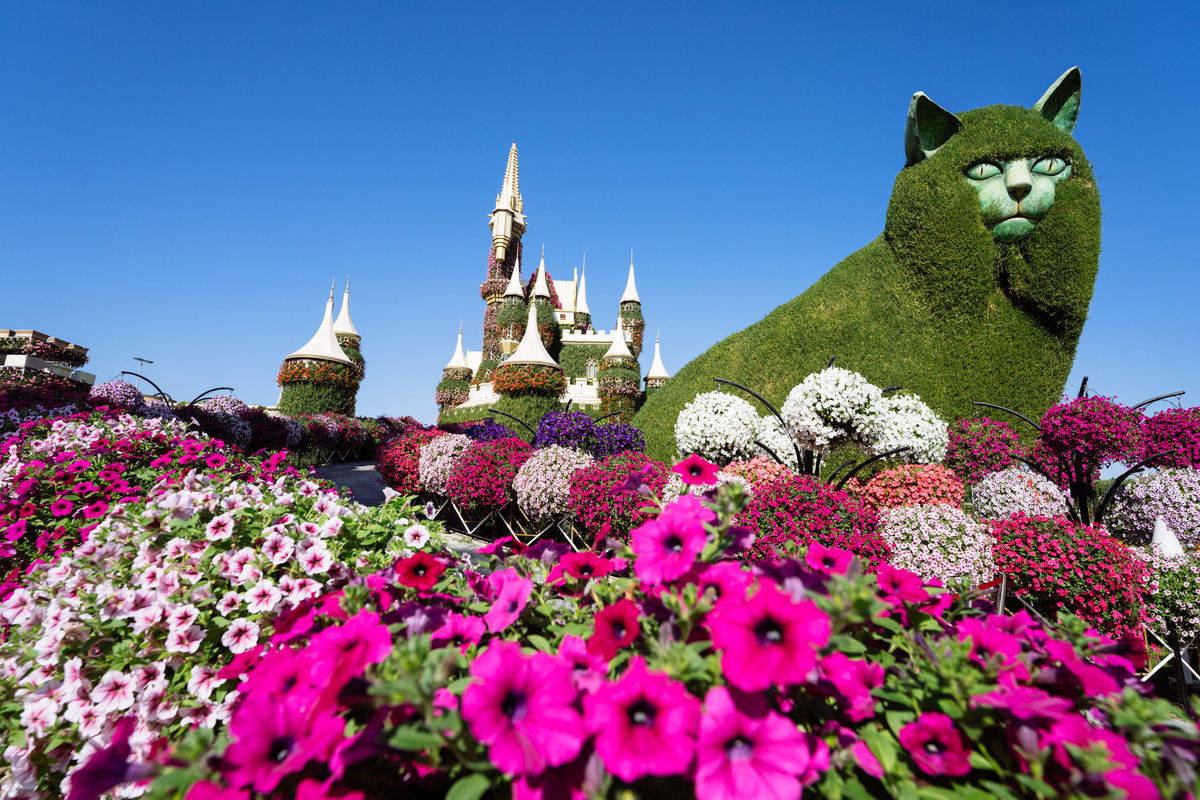 010-Miracle-Garden-Dubai.jpg