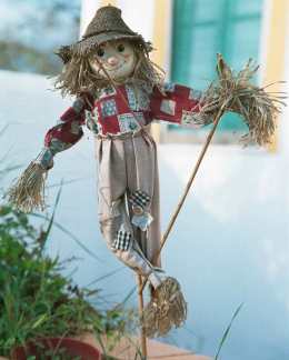 scarecrow-straw-man.jpg