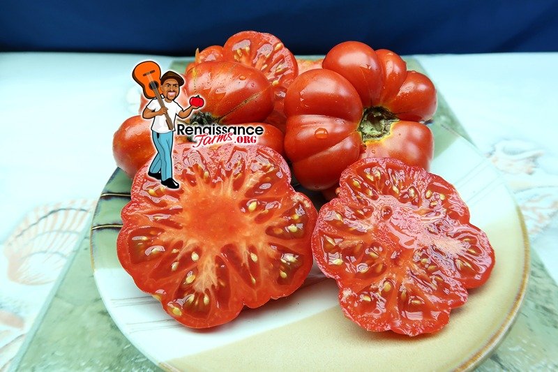 Costoluto-Genovese-Tomatoes.jpg