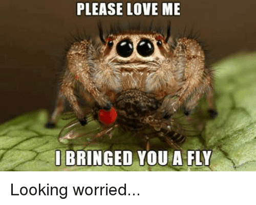 please-love-me-spider-meme.png