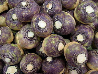 330px-Swede_-_rutabaga_-_veggiegroup.jpg