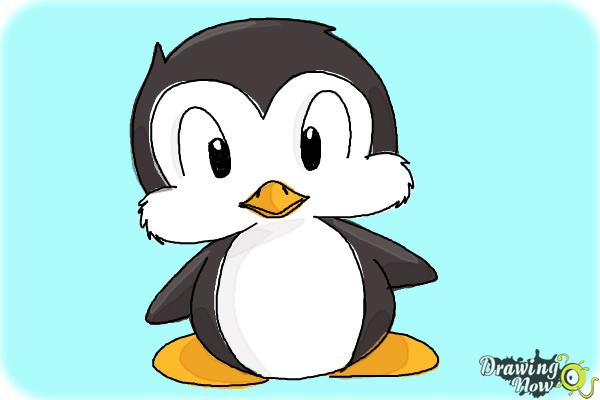 how-to-draw-a-cartoon-penguin-step-11.jpg