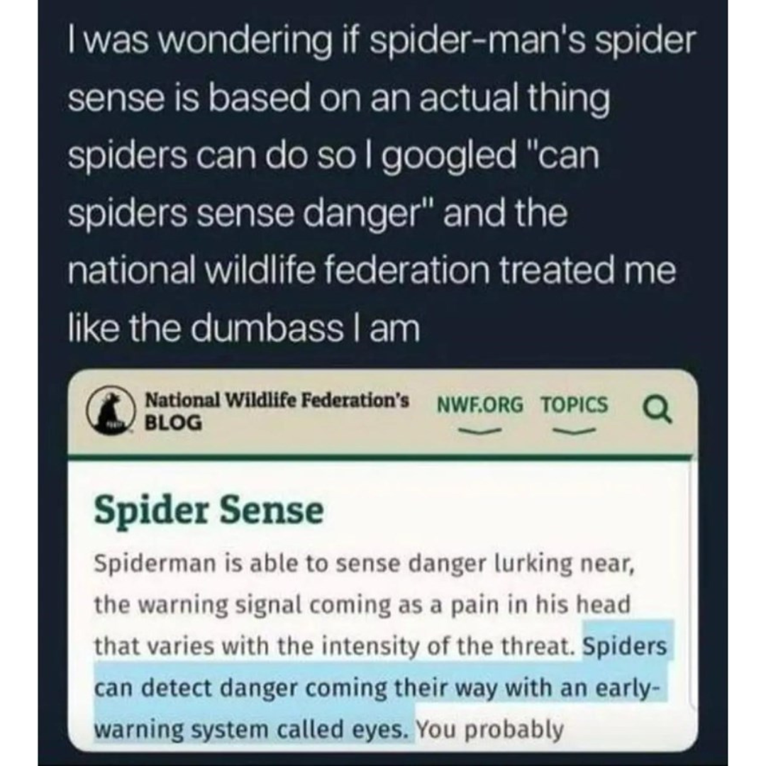 spider-sense-60848.png